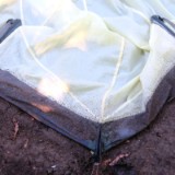 2008F 074 Koeln Campingplatz